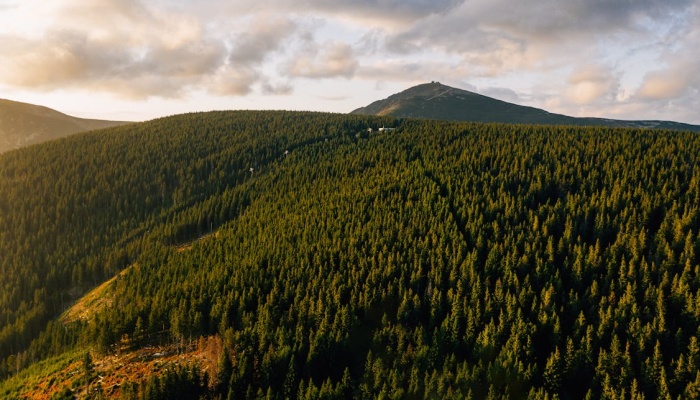 Krkonoše PR